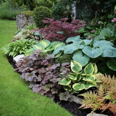 a garden filled with lots of different types of flowers and plants next to each other