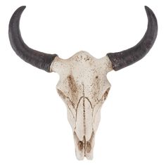 an animal's skull with large horns on a white background is seen in this image