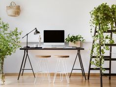 a desk with a computer on it next to some plants and a ladder in the corner