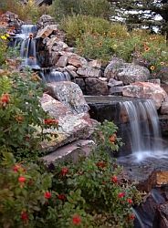 there is a small waterfall in the middle of this rock garden with lots of flowers