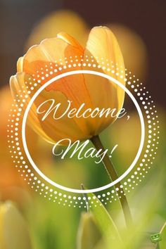 a close up of a yellow flower with the words welcome may in front of it