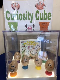 a display case filled with different kinds of toy heads in front of a curiosity cube sign