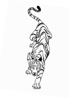 a black and white drawing of a tiger jumping in the air with its tail extended