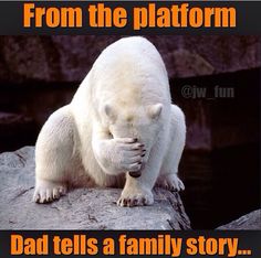 a white polar bear sitting on top of a rock next to the words mmmmag shamme