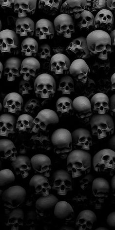 a bunch of skulls that are all black and white