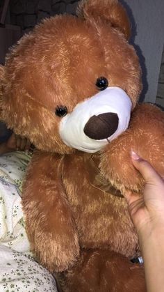 a brown teddy bear sitting on top of a bed next to someone's hand