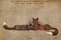 two foxes laying on the ground next to each other with words written in red above them