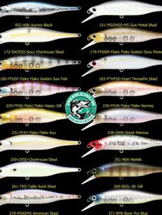 the different types of lures for fishing in the lake and around the water, with names