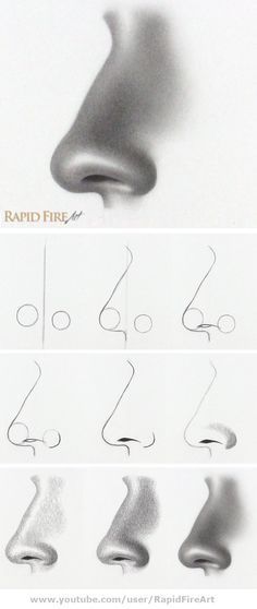 four different types of nose shapes and their corresponding features are shown in the same image