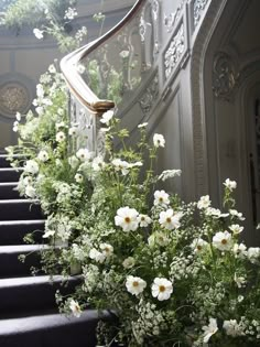 some white flowers are growing on the stairs