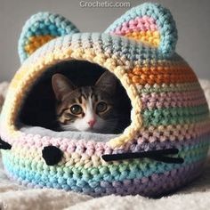 a cat in a crocheted kitty bed looking out from it's hole