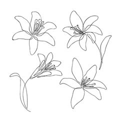 three flowers are shown in black and white, with one flower on the left side