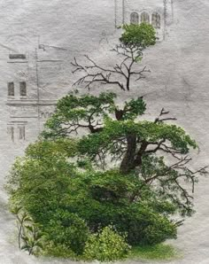 a drawing of a tree in front of a building