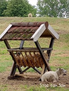 a sheep laying on the ground next to a wooden structure with grass growing in it