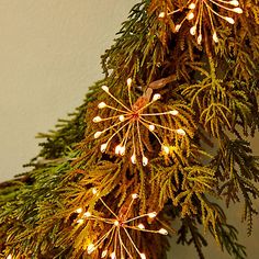 a christmas tree with lights hanging from it's branches