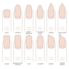 Nail Shape Chart, Types Of Nails Shapes, Spongebob Nails, Ten Nails, Natural Nail Art, Acrylic Nail Shapes, Nail Type, Nail Forms