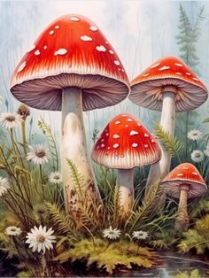 Mushrooms - Painting by numbers shop Mushroom Pictures Art, Mushroom Reference Photo, Paintings Of Mushrooms, Simple Mushroom Painting, Fairy Mushroom Forest, Fairy Tale Painting, Mushroom Paintings, Mushroom Ideas, Vintage Mushroom Art