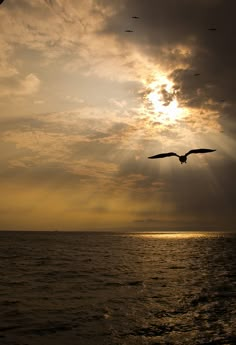 two birds flying in the sky over water with sunbeams and clouds behind them