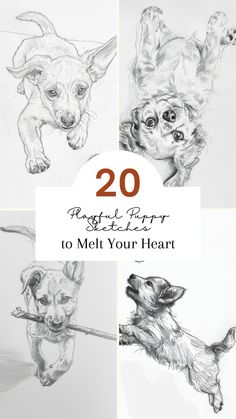 four different pictures of dogs with the title 20 realistic drawings to melt your heart