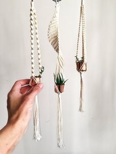 a hand holding three hanging planters with plants in them, one is white and the other is brown