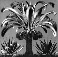 an illustration of a palm tree surrounded by plants