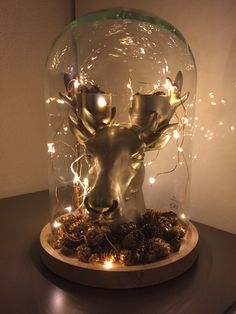 a deer head under a glass dome with lights on the top and pine cones underneath