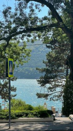 a street sign on the side of a road near trees and water in the background