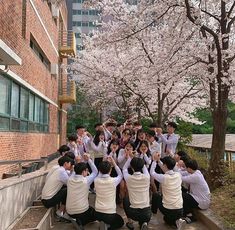 a group of young people sitting on steps in front of cherry trees with their hands up