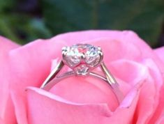 a close up of a rose with a ring on it