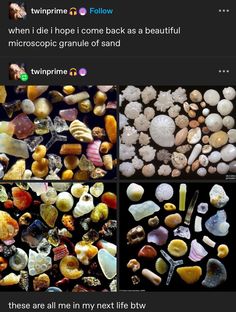 some rocks and shells are shown in four different pictures