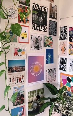 there are many posters on the wall with plants in front of them and a potted plant next to it