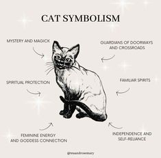 an image of a cat's body and some words on it that describe the different parts