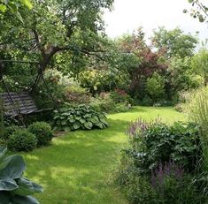 a garden with lots of green grass and trees