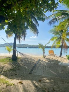 a hammock on the beach between two palm trees