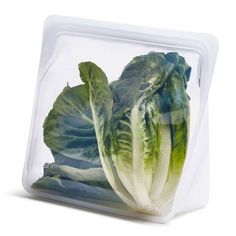 lettuce in a plastic container on a white background