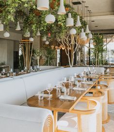 a long table with place settings and hanging plants