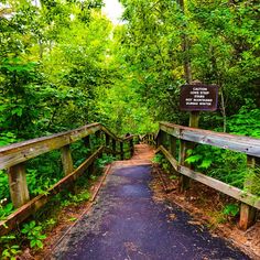 a wooden bridge in the middle of a forest with a sign on it's side