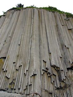 a very tall rock formation with trees growing out of it