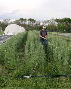 a man standing in the middle of a field