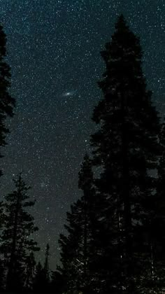 the night sky is filled with stars and trees