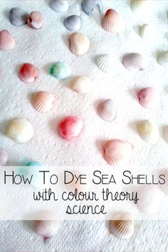 sea shells on a towel with the words how to dye sea shells with color theory science