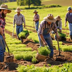 several men are working in the field with their shovels and weeding plants together