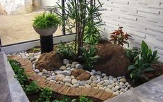 a small garden with rocks and plants in it