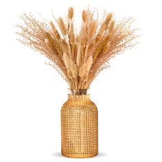 a vase filled with dry grass on top of a white background