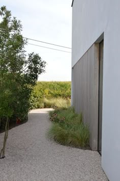 an alley way between two buildings with trees in the foreground and bushes on either side