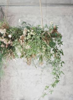 flowers and greenery are hanging from the ceiling