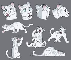 the white tiger poses are drawn in various positions, including their eyes open and mouth wide