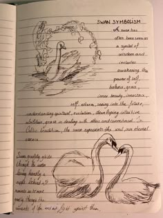 an open notebook with drawings of swans and the words swan sydicism written in cursive writing