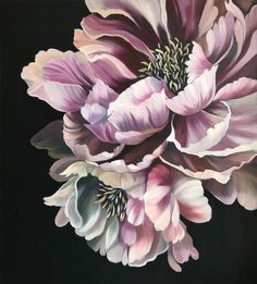 a painting of two pink flowers on a black background with white and purple petals in the center