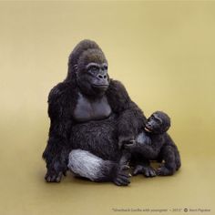 a baby gorilla sitting on top of an adult gorilla